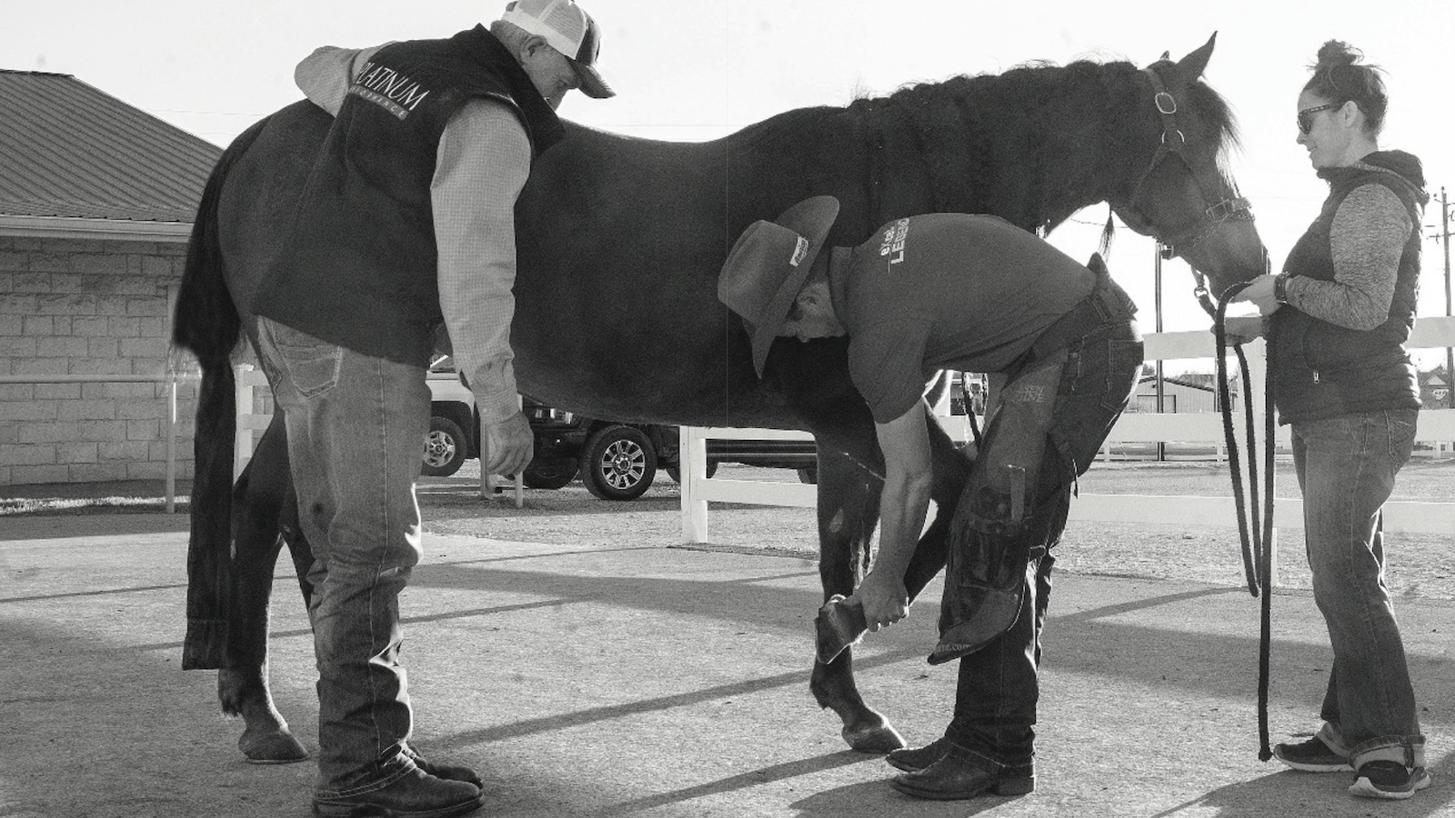 This veterinarian and farrier team relies on digital radiographs to eliminate guesswork in achieving soundness.